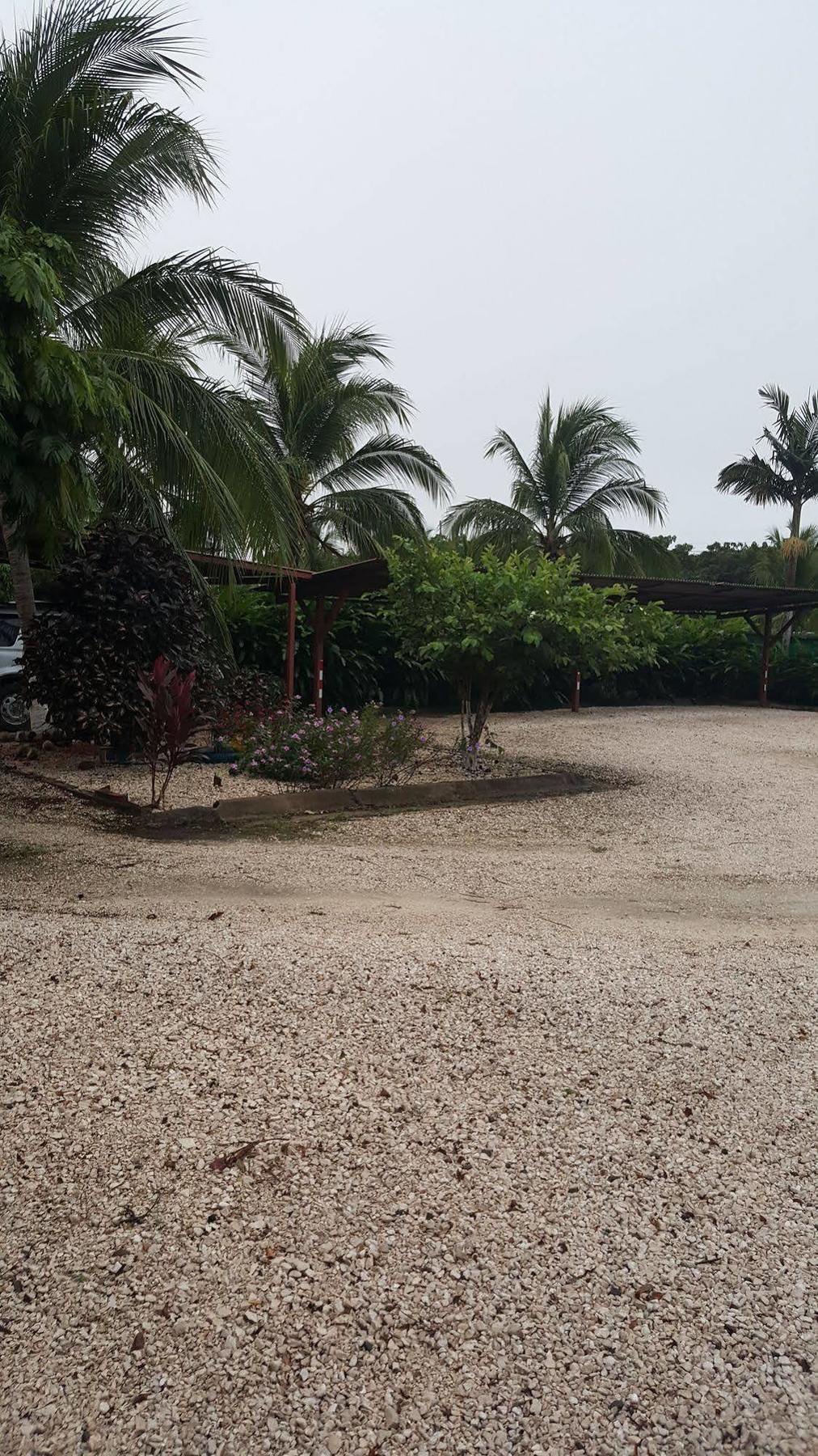 Hotel La Arena Liberia Exterior foto